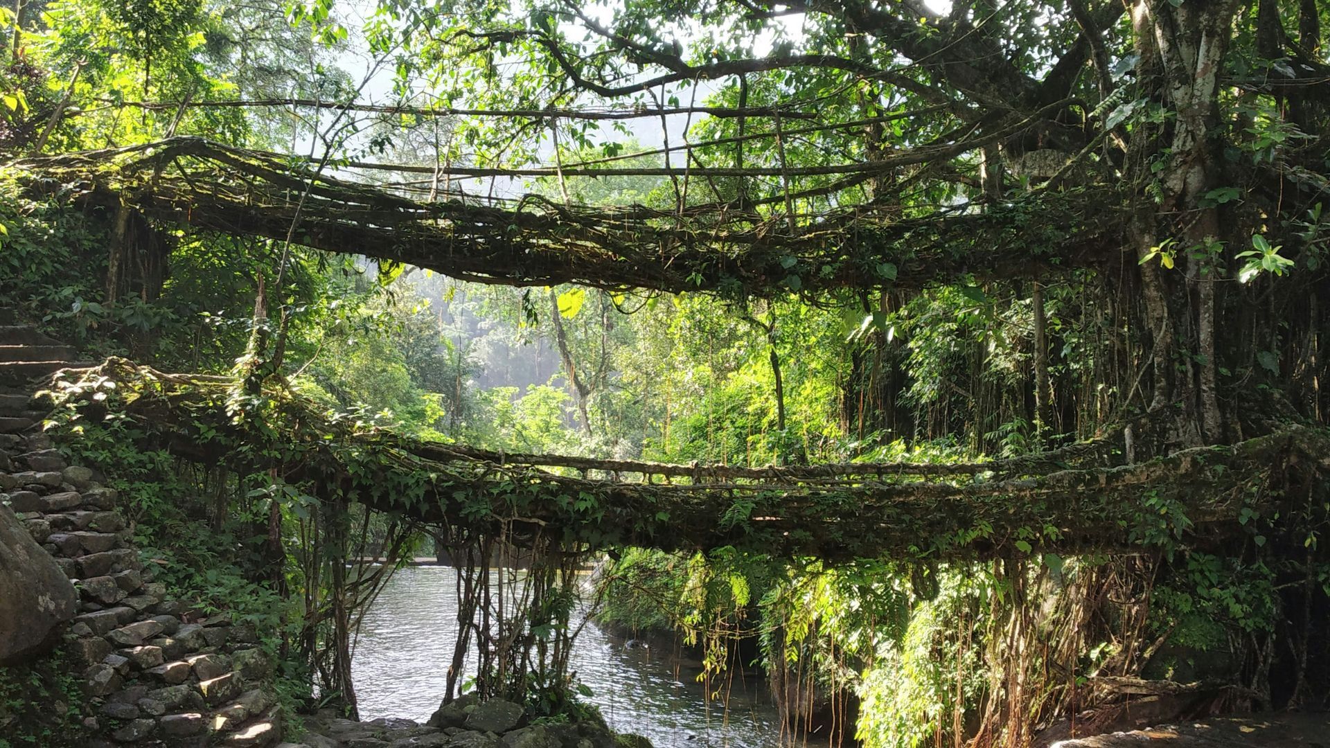 Cherrapunji‎, Meghalaya | Galentine's Day | Girl's Trip Ideas