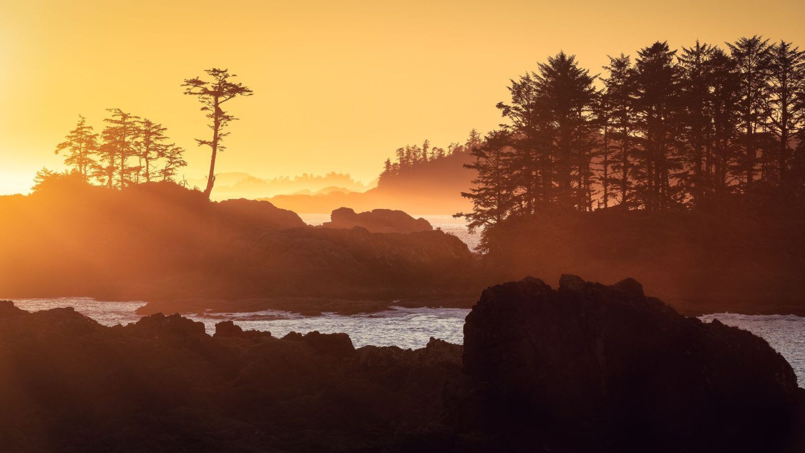 Reddit Leads to Crowd-Free Summer Vacations