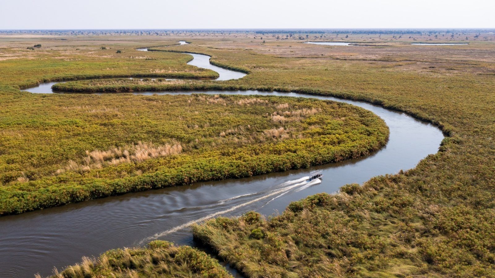 In Botswana And Zimbabwe, Learning To Wait As The Wild Reveals Itself On Its Own Terms