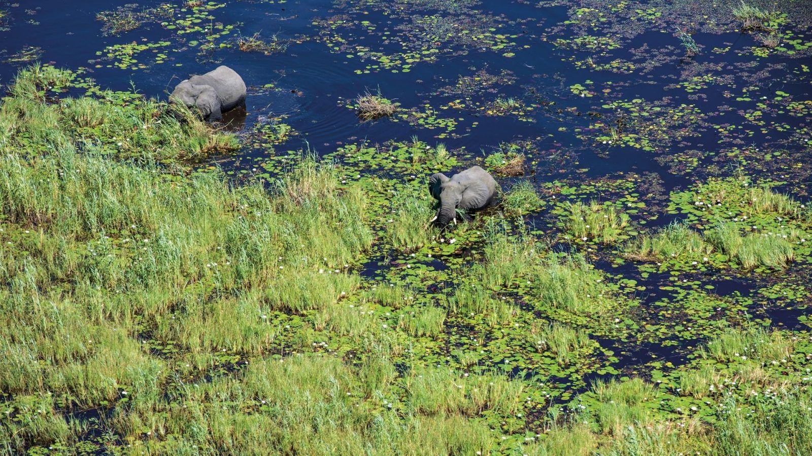 Remote Lodges Are Redefining Luxury Through Conservation, Community Engagement, And Accountability