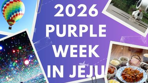 Purple Week Purple Festival: Explore The 2026 Purple Week In Jeju Festival