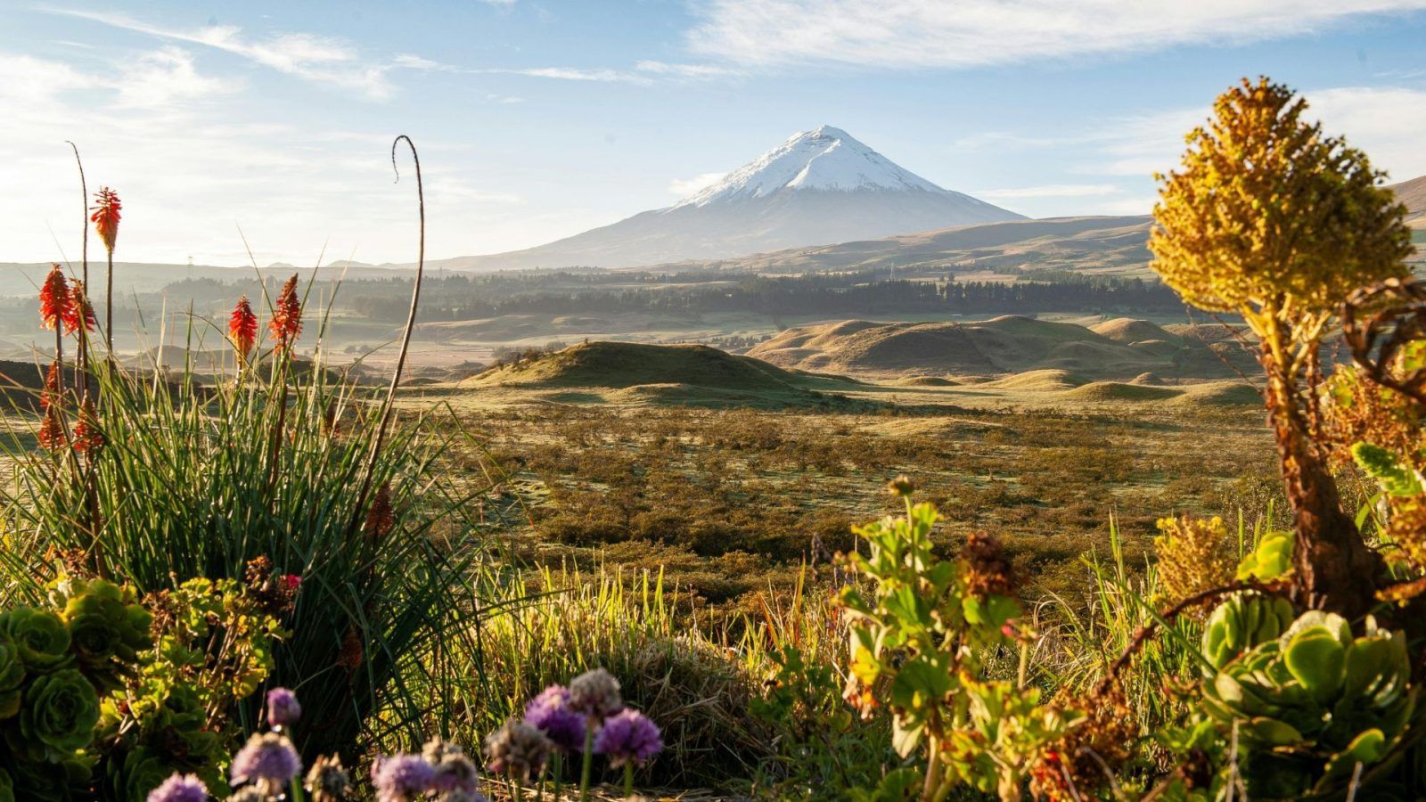 Active Volcanoes You Can Hike: From Mt Etna In Italy To Mt Fuji In