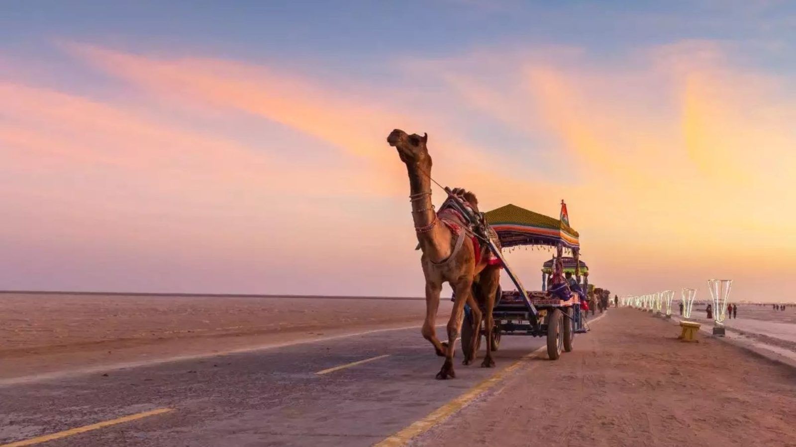 Mark Your Calendars: Rann Utsav 2026 Kicks Off On November 1, 2026