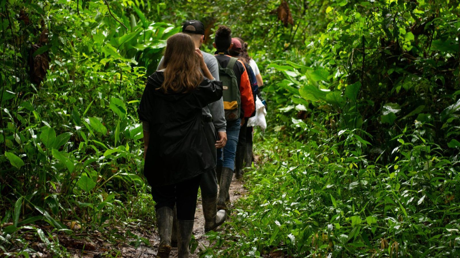 Let It Rain And Enjoy These Low-Effort Monsoon Hikes Near Delhi-NCR!