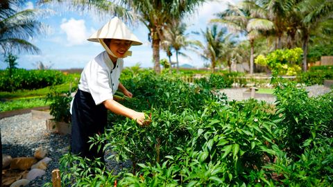 Why Resort Farms Should Be the New Normal in Sustainable Travel