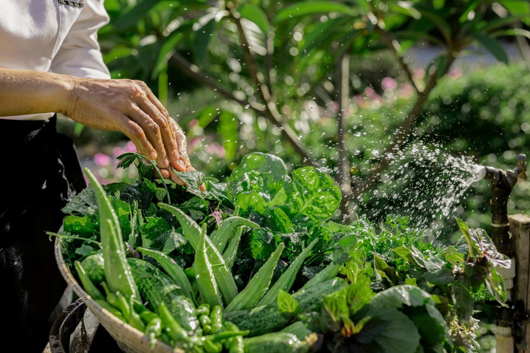 Organic Garden at Six Senses Con Doa