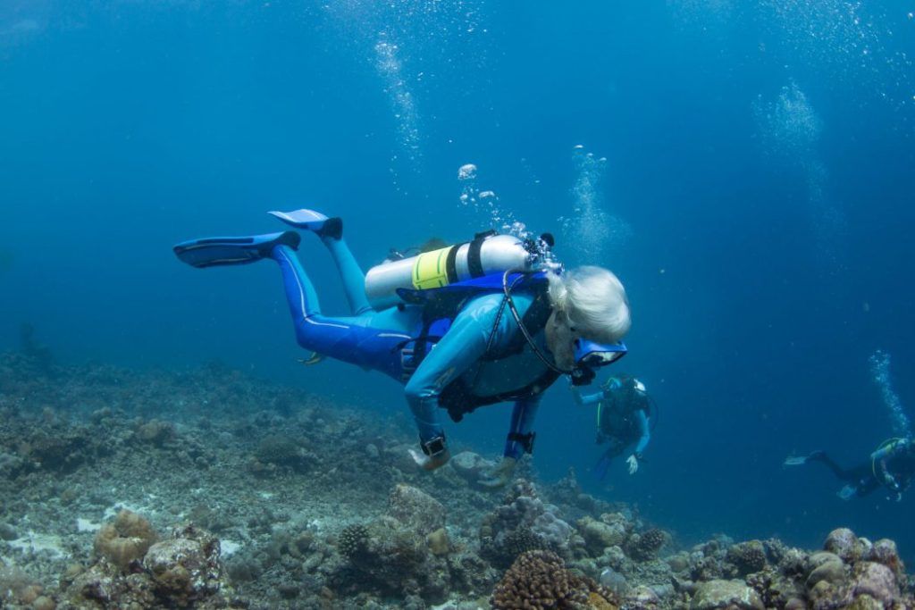 Jean-Michel Cousteau Resort, Fiji