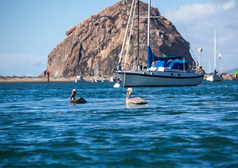 Morro Bay