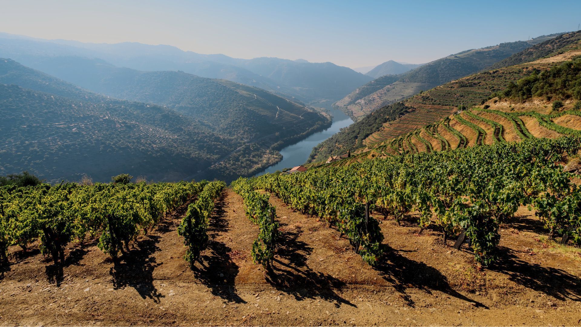 Things To Do In Portugal
