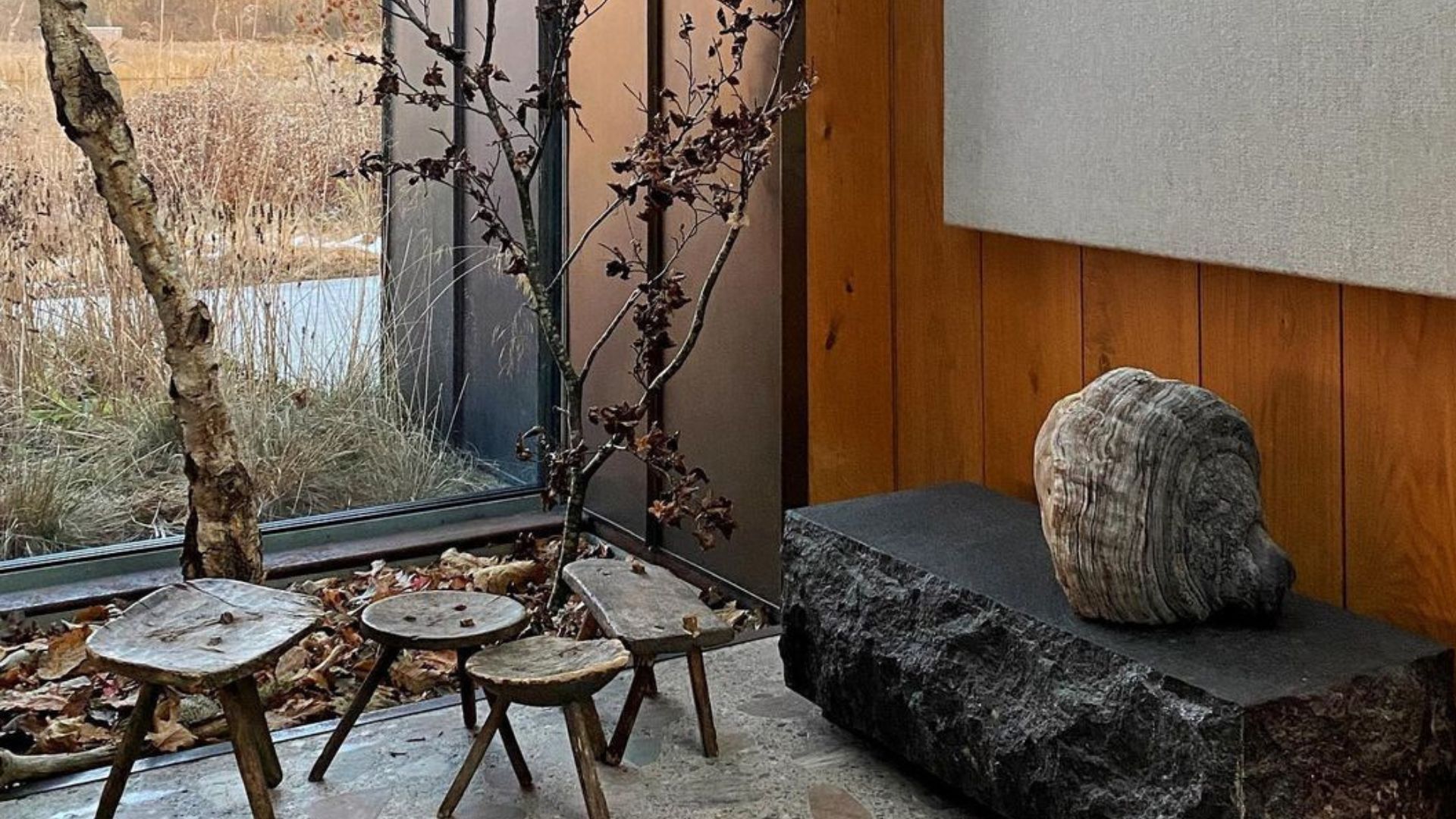 Noma