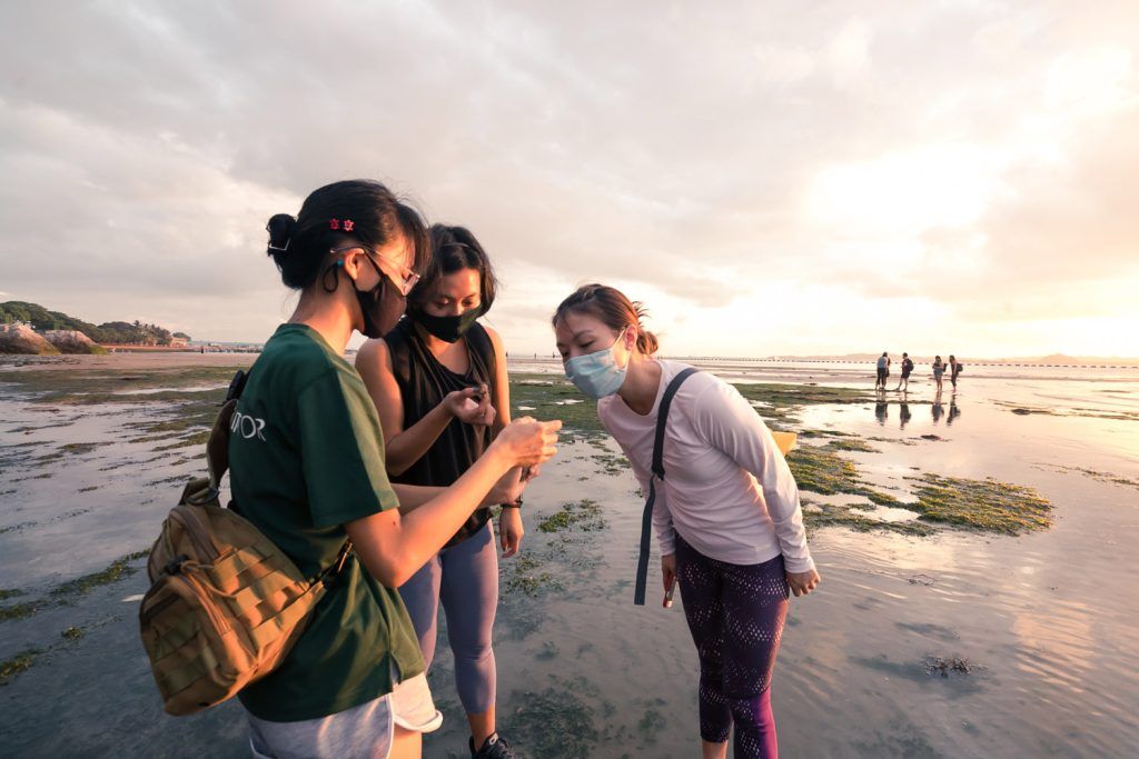 Capella Curates: The Untamed Paths