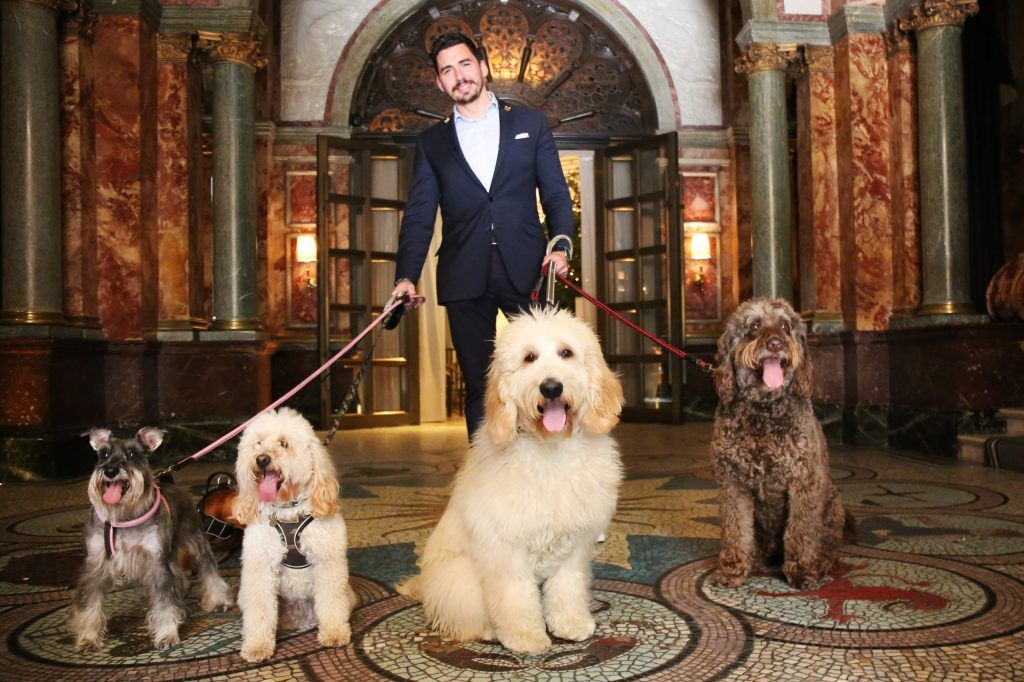 Kimpton Fitzroy London is a pet-friendly hotel