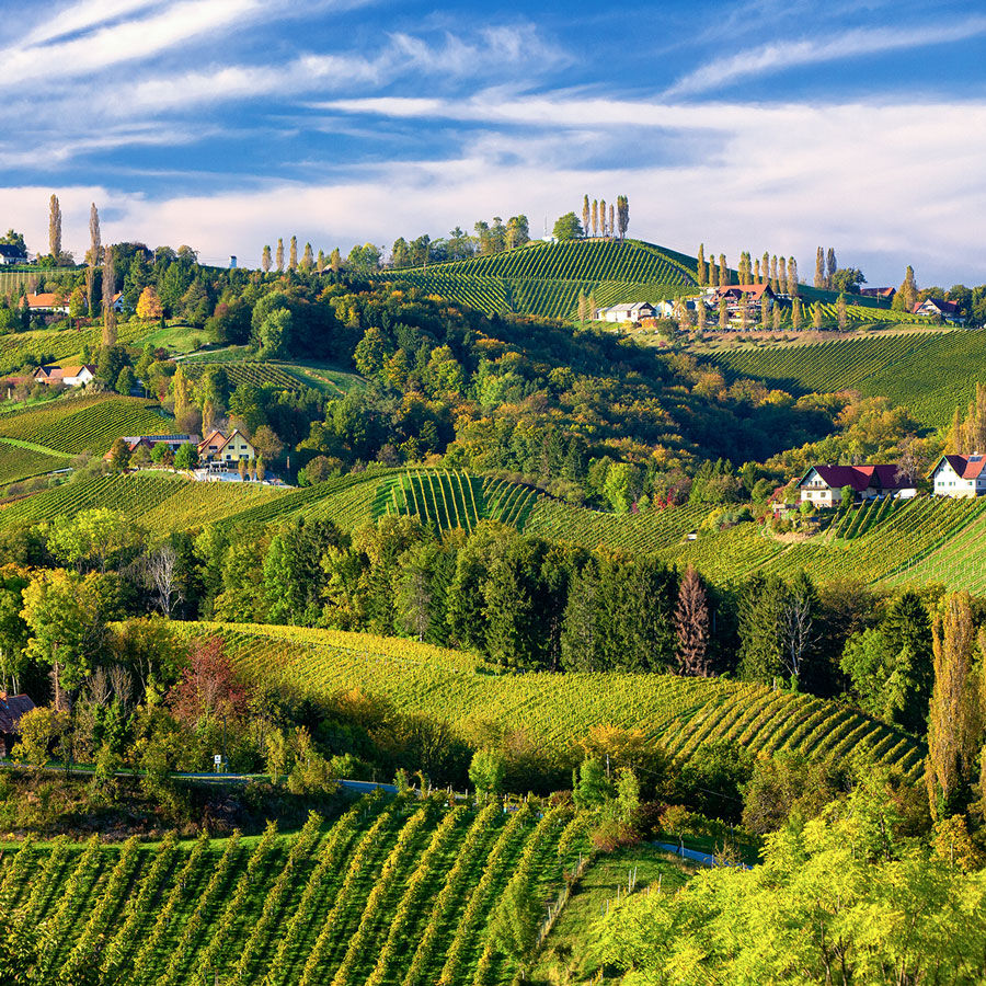 Why You Need To Plan An Austrian Wine Drive Now