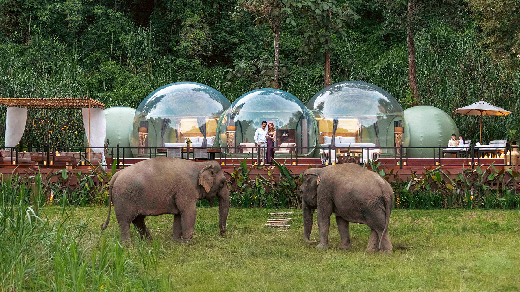 This Might Be the Most Luxurious Way to Sleep With Elephants