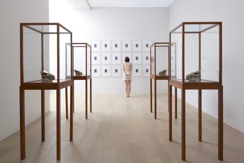 Bespoke Art Walks Experiences