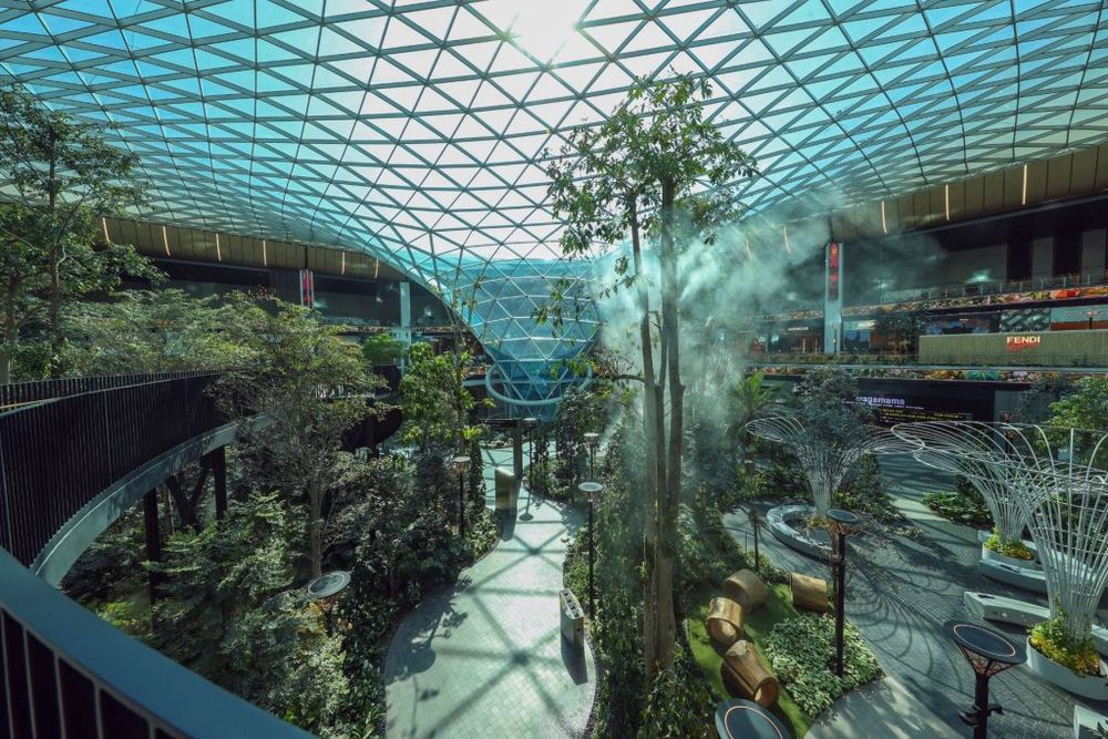 Hamad International Airport Becomes an Orchard