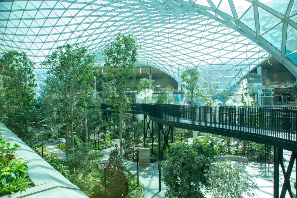 Orchard: Hamad Airport's stunning new 'jungle-like' expansion in pictures -  Doha News