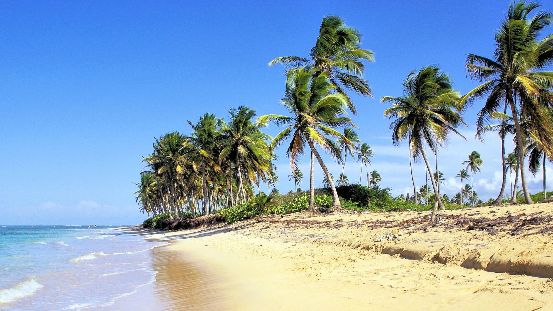 Dominican Republic