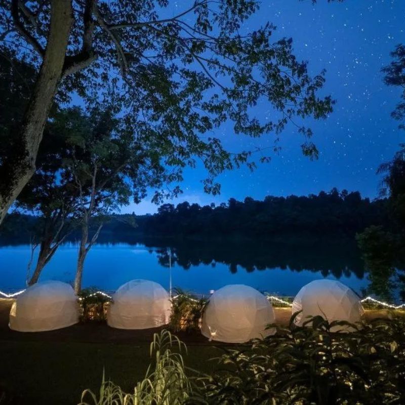 Experience A Night In The Singapore Zoo With Glamping In The Wild