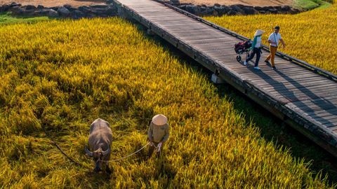The Most Picturesque Golf Resorts And Hotels In Vietnam
