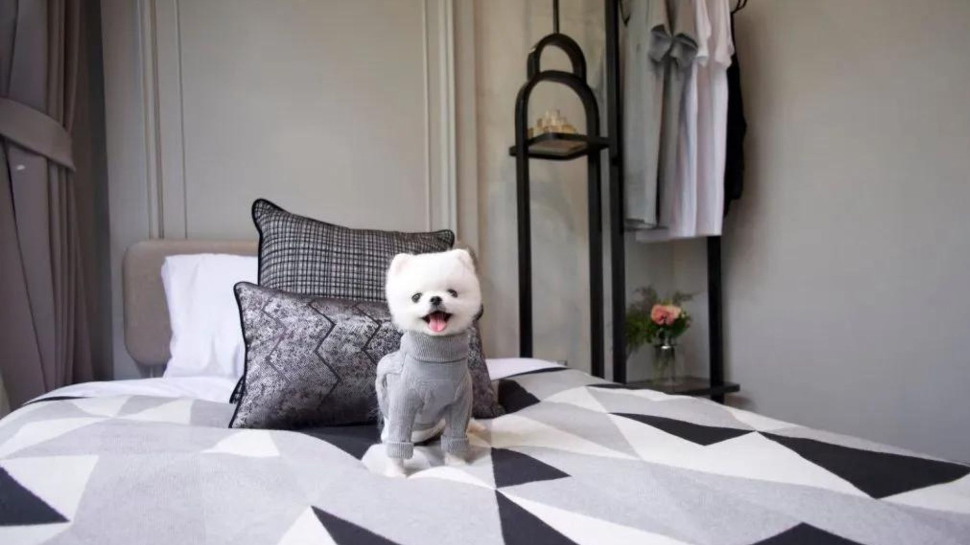 PetFriendly Condos Around Bangkok For Your FourLegged Friends