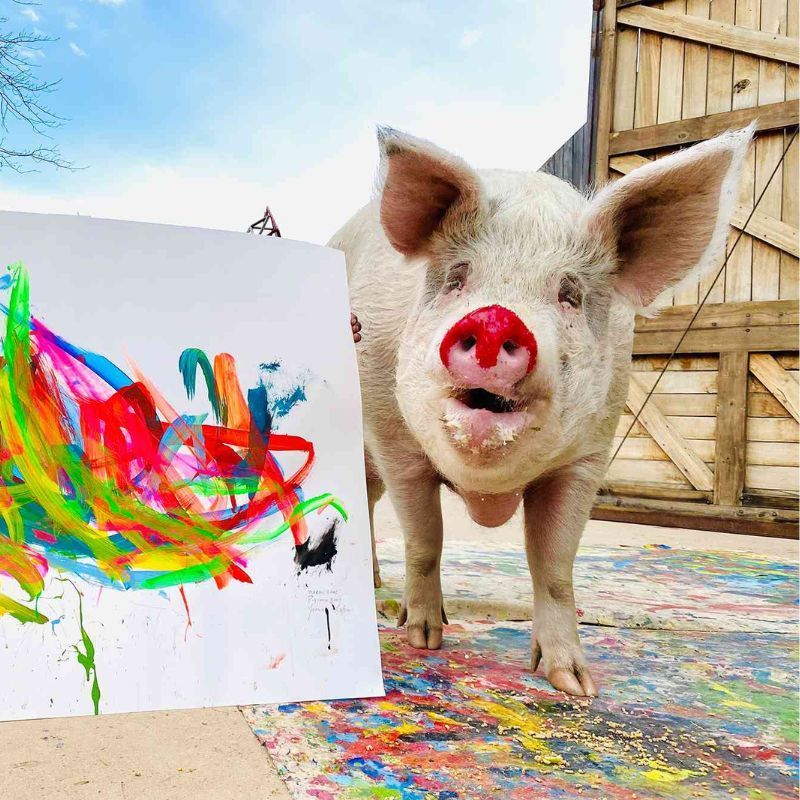 This Farm Animal Sanctuary Is Also A Hotel — And Its Resident Pig Is A World-Famous Artist