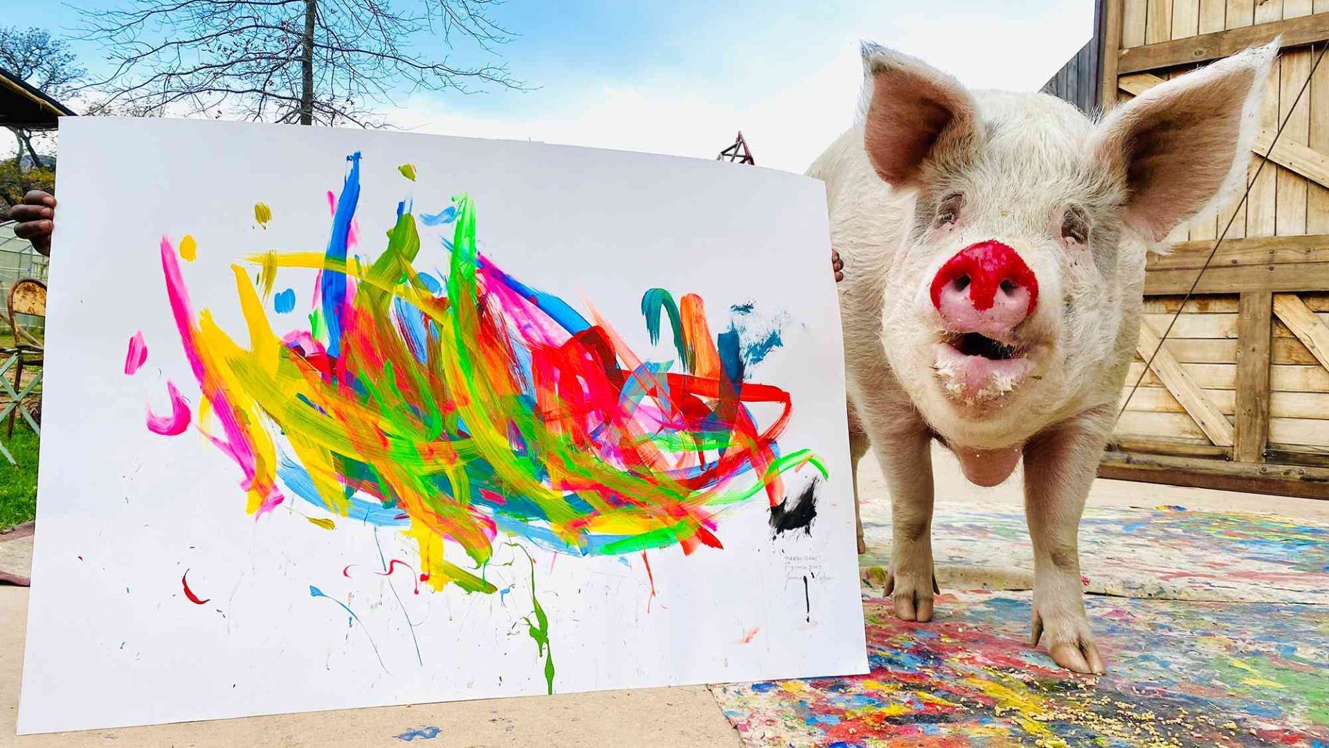 Meet Pigcasso — The Artistic Pig Whose Paintings are Worth Over Rs 2 Lakhs