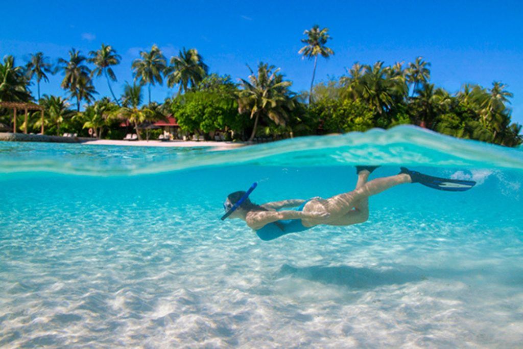 Snorkelling in the Maldives