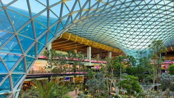 Louis Vuitton Opens 1st Airport Store in South Asia in Singapore's Changi  Airport Terminal 3