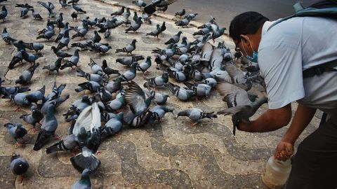 Unusual Travel Rules You Must Know Before Visiting These Places