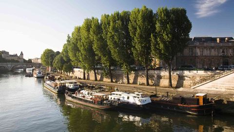 30 Best Things To Do In Paris, According To Locals