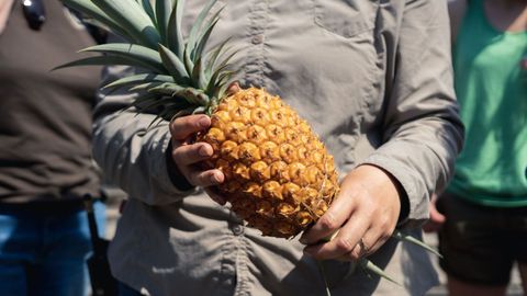 Most Expensive Fruits In The World To Splurge On