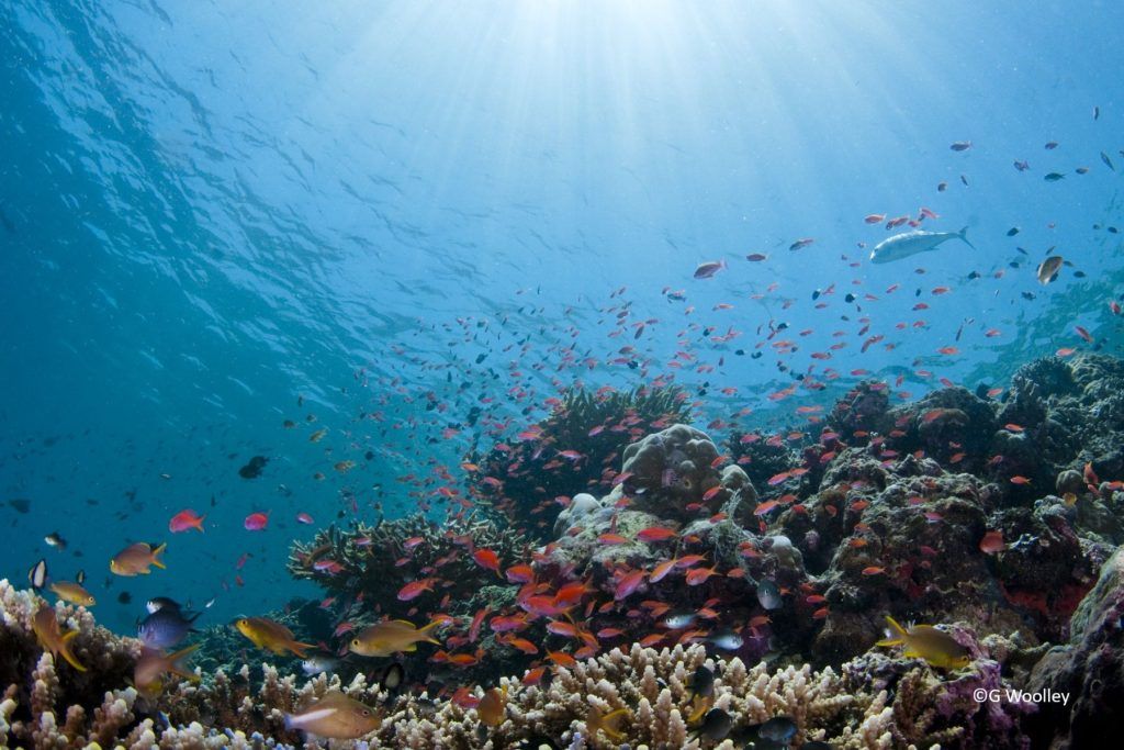 Underwater
