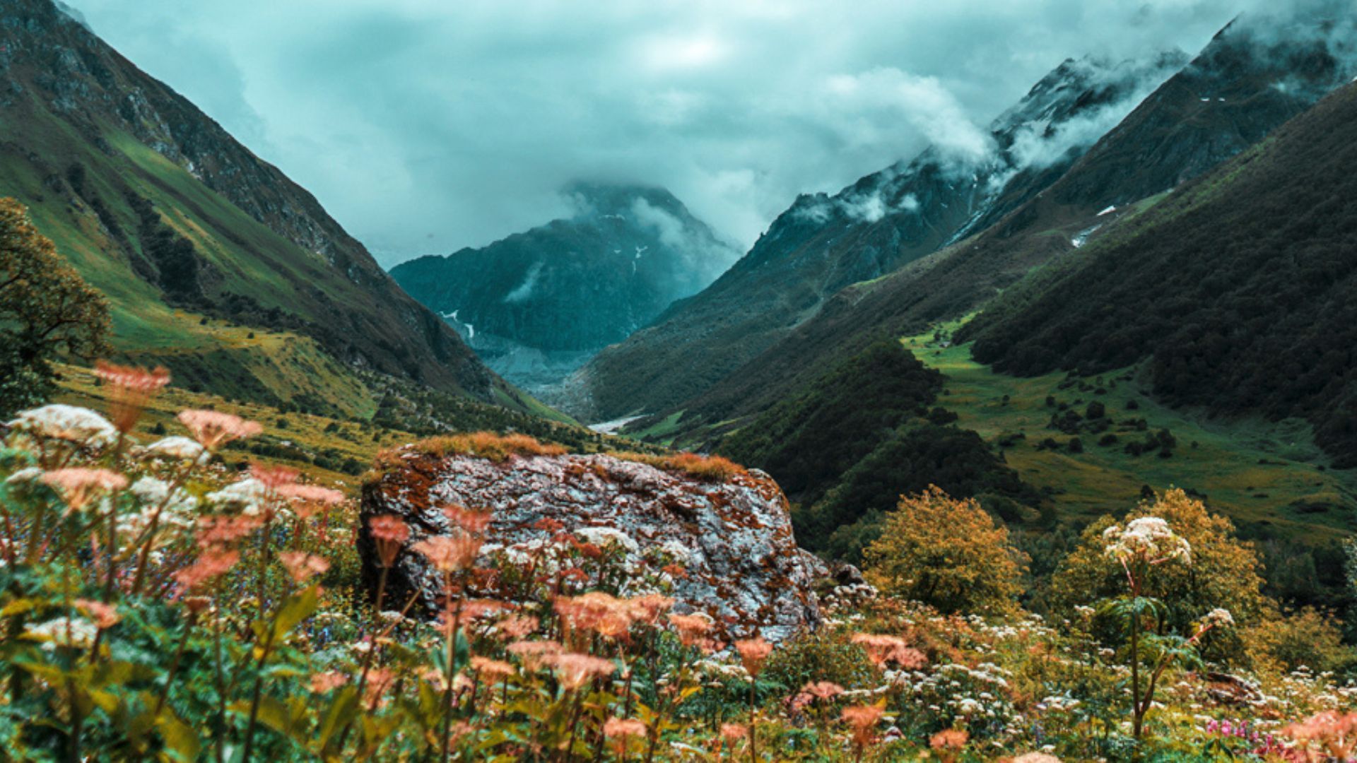 Valley of Flowers (Nubra Valley) - Himalayan Saga