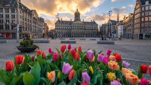 20 Best Things To Do In Amsterdam, From Classic Art Museums To Hidden Speakeasies