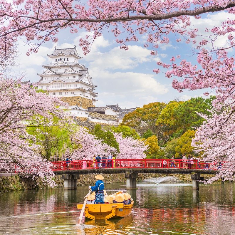 Explore The Historical Side Of Japan Through These UNESCO World Heritage Sites