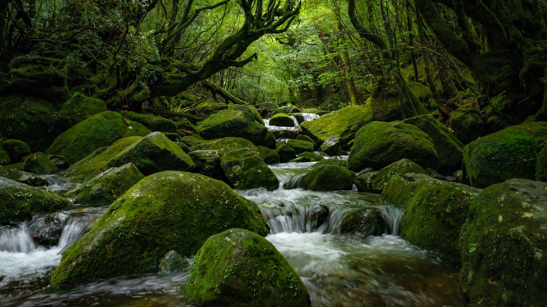 UNESCO World Heritage Sites in Japan