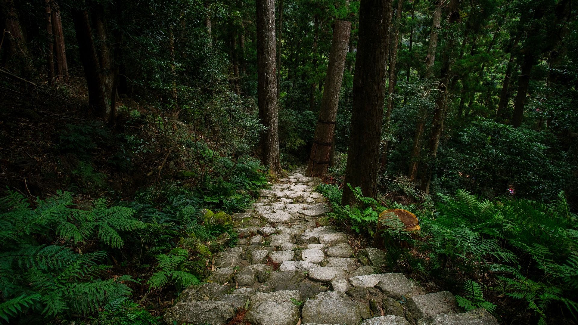 UNESCO World Heritage Si in Japantes