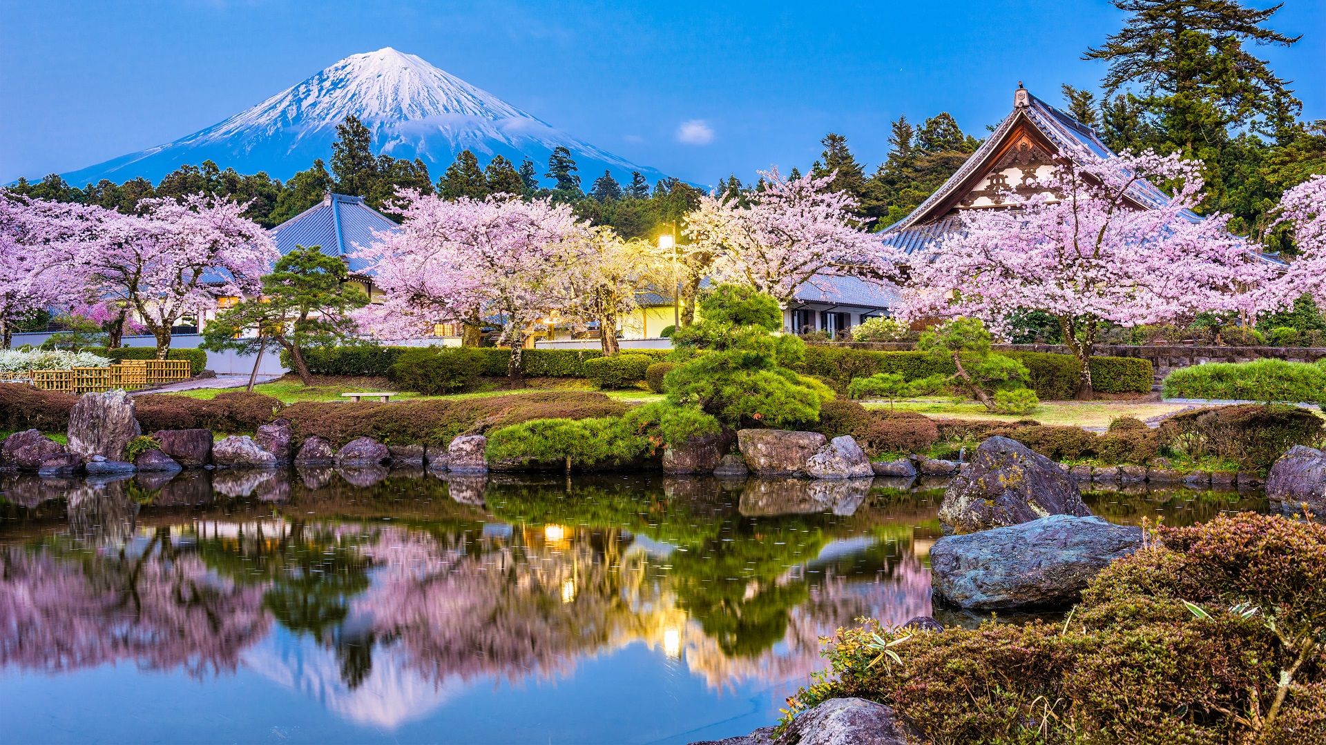 Mount Fuji
