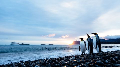 Climate, Penguins and Polar Snorkelling: What I Learned Cruising Antarctica
