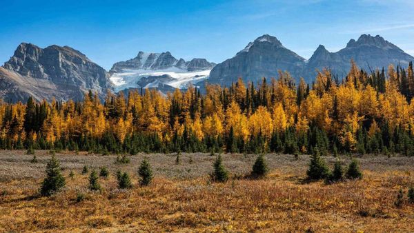 This 19-Day Train Trip Takes You Through Some Of Canada’s Most Spectacular Fall Foliage