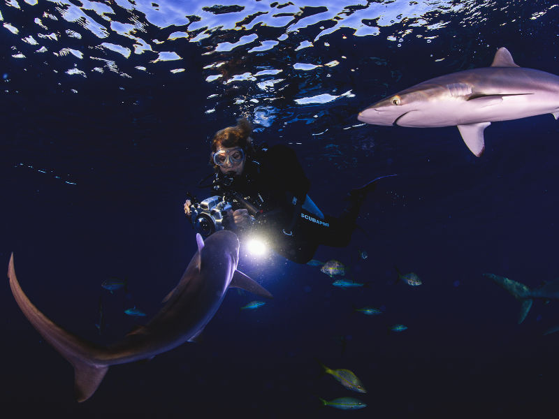 VIDEO: Is This the Biggest Bucketlist Adventure There Is?