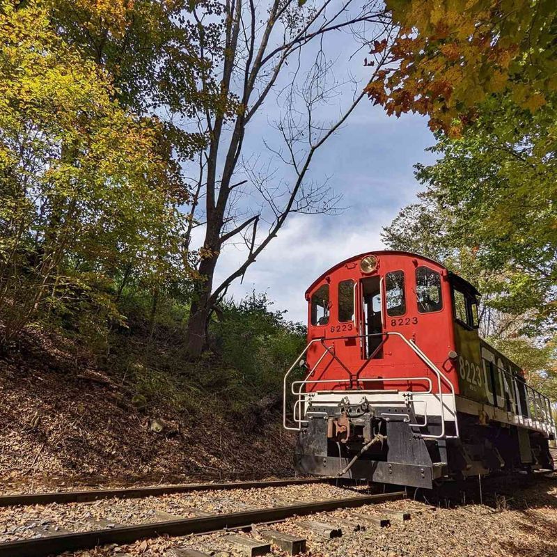 This 2-Hour Train Trip Takes You Through Some Of The Best Fall Foliage In New York State