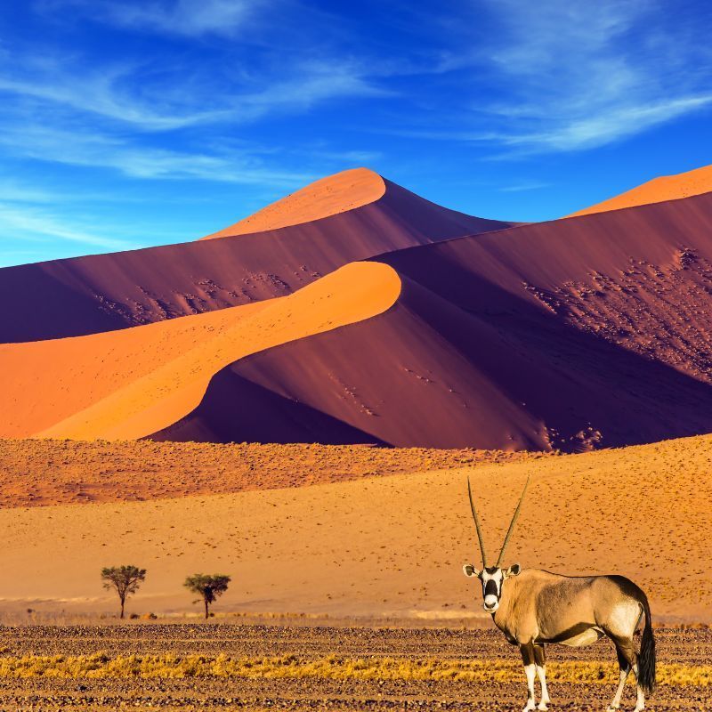 The Most Stunning Snapshots Of Namibia: Deserts, Culture & Beyond