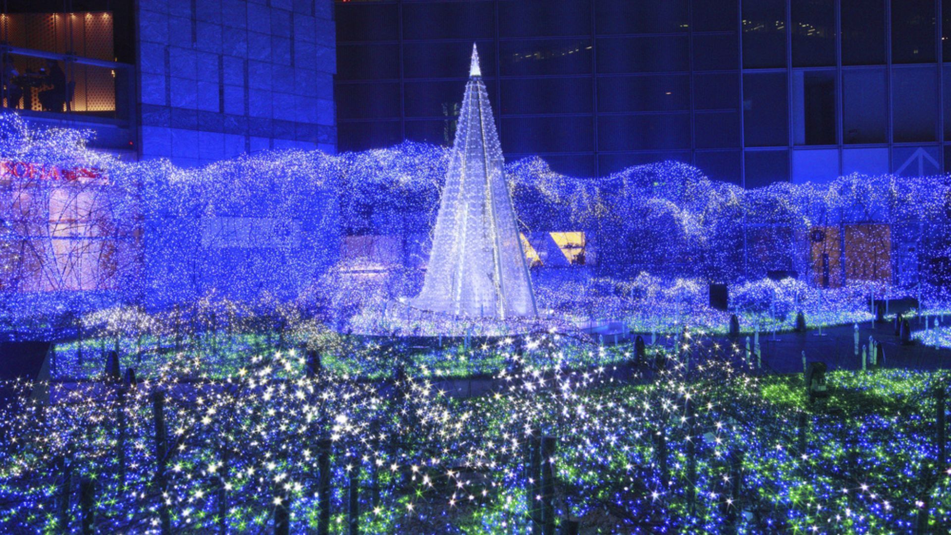 Tokyo - best places Christmas destinations