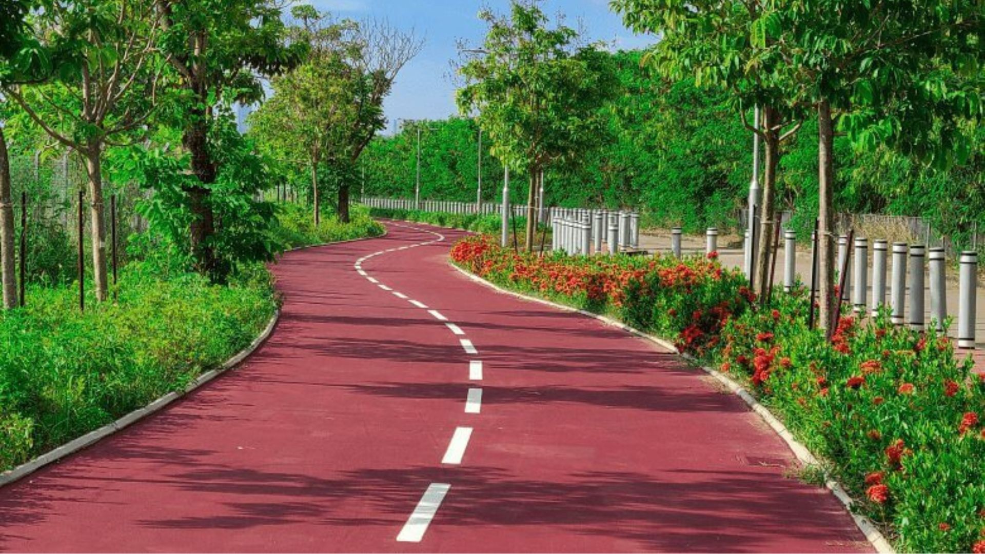 best cycling routes in hong kong