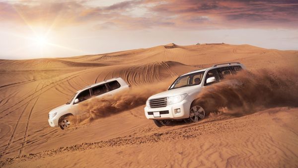 unusual things to do in Jaisalmer