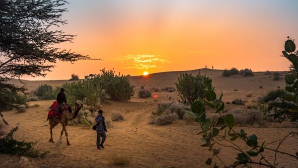 Overnight camel safari