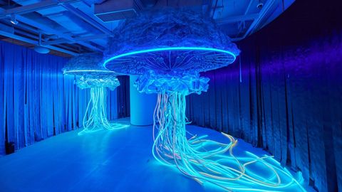 Hong Kong Unveils The World’s ‘First’ Digital Aquarium