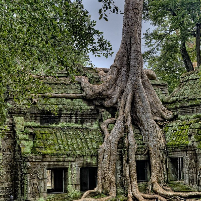 Preah Vihear Temple To Sihanoukville: Explore Cambodia Beyond Angkor Wat
